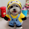 Traje Minion